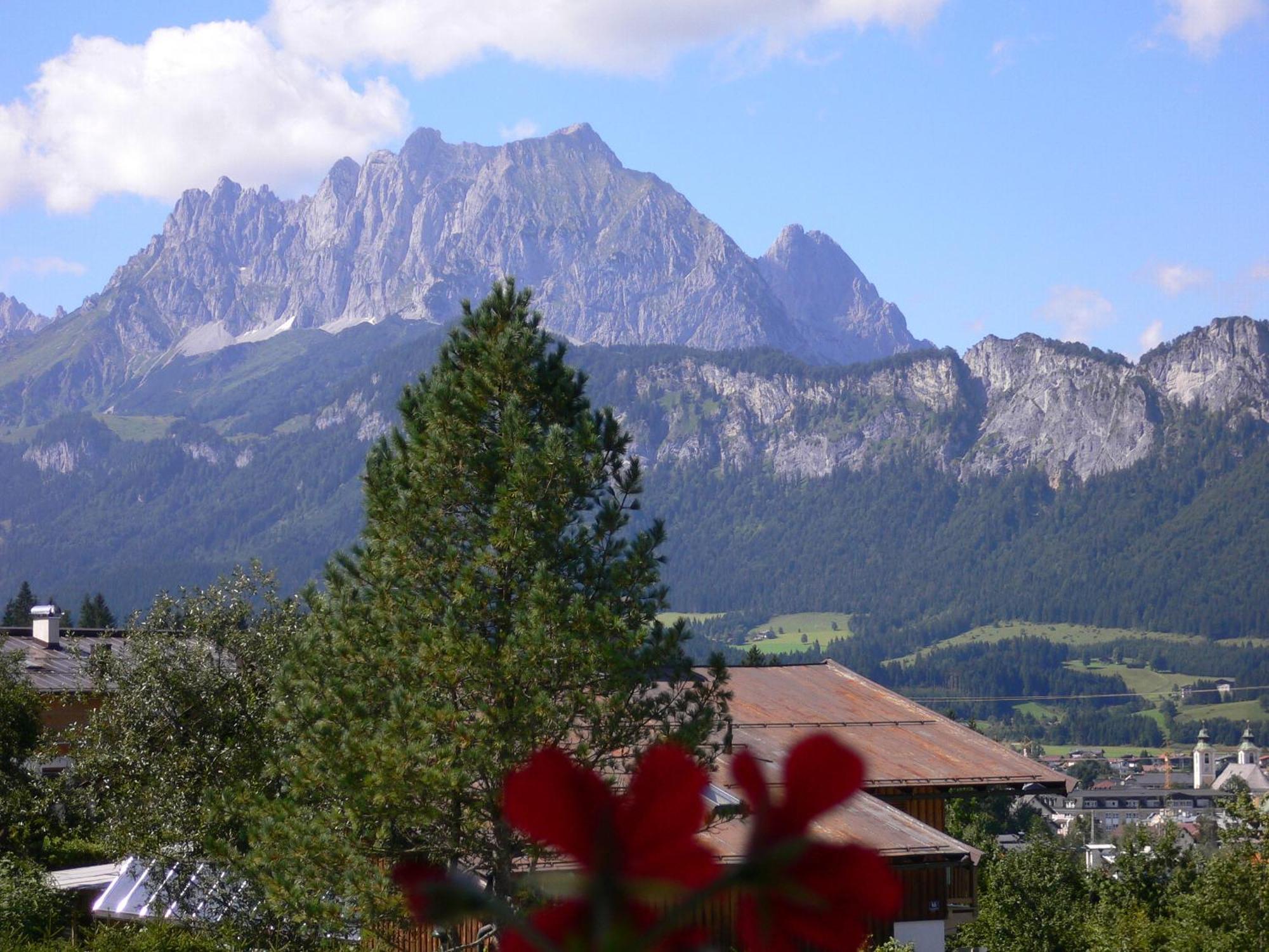 Hotel Landhaus Almdorf à St. Johann in Tirol Extérieur photo